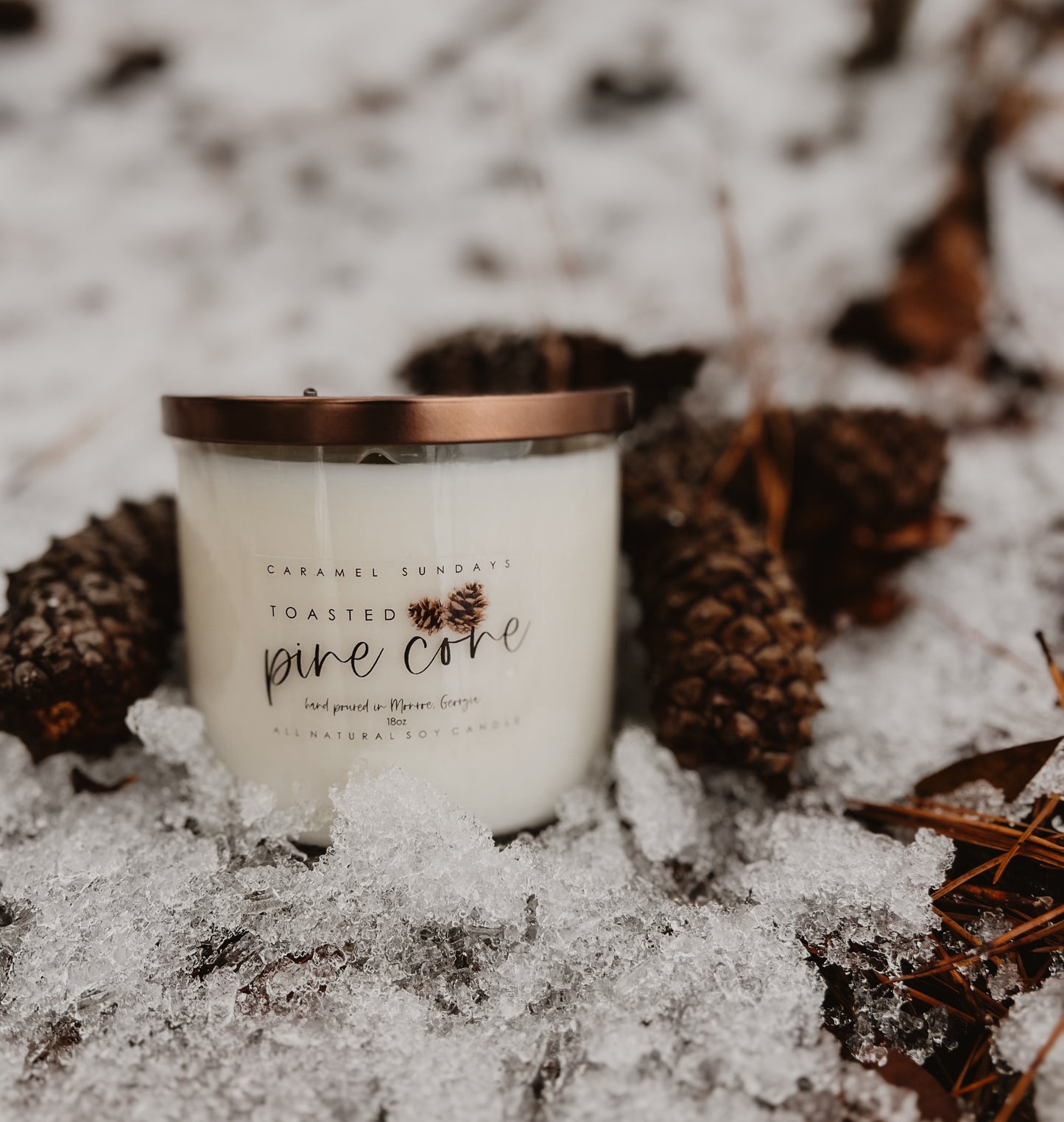 2 Wick Toasted Pinecone Soy Wax Candle