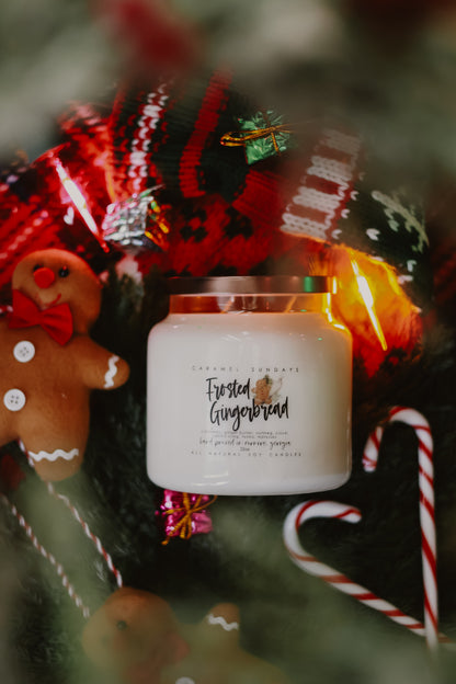 2 Wick Frosted Gingerbread Soy Wax Candle