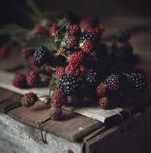 Load image into Gallery viewer, Blackberry Bellini Soy Wax Melt
