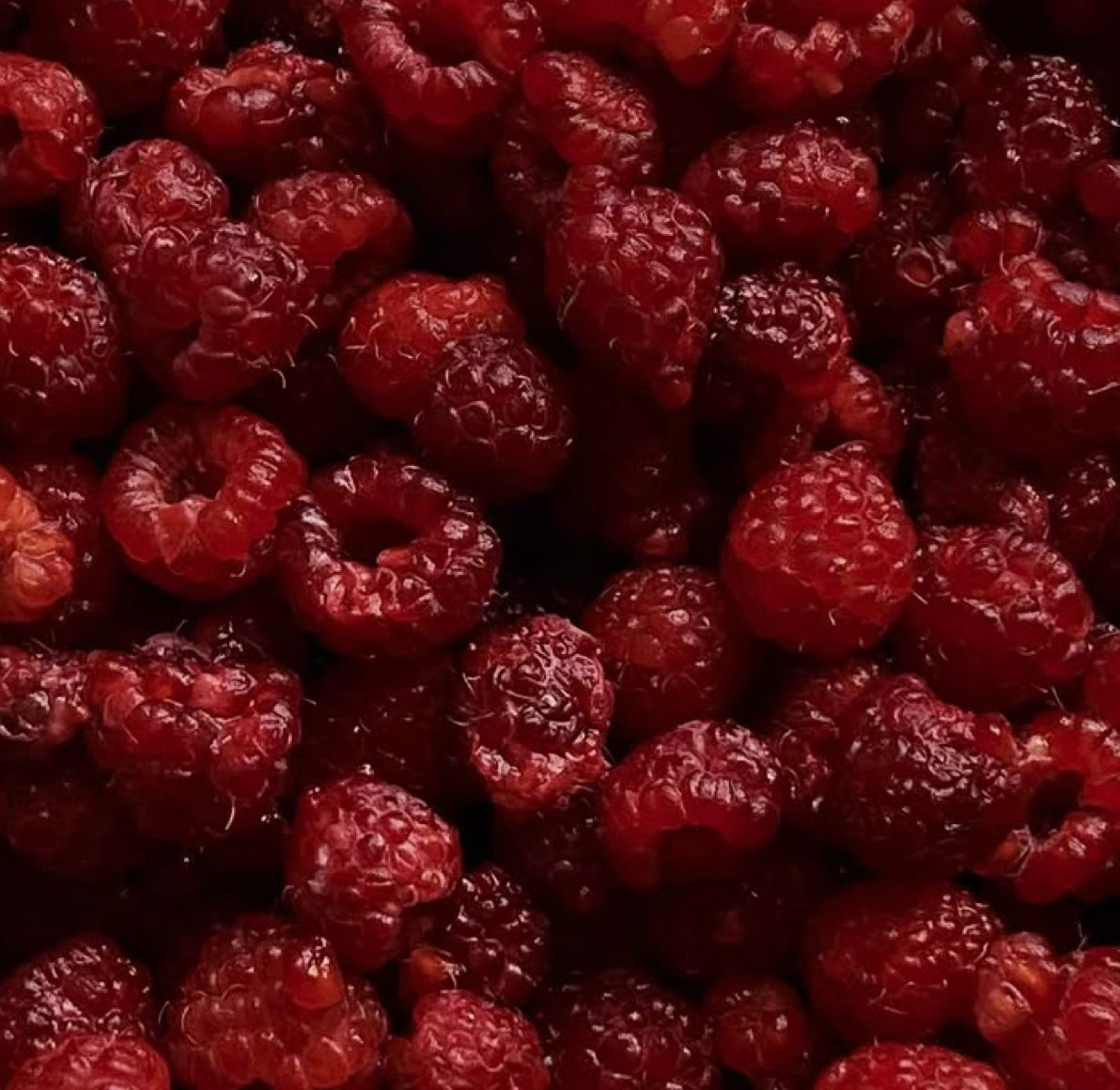 Mahogany Raspberry Soy Wax Melt