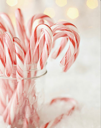 2 Wick North Pole Soy Wax Candle
