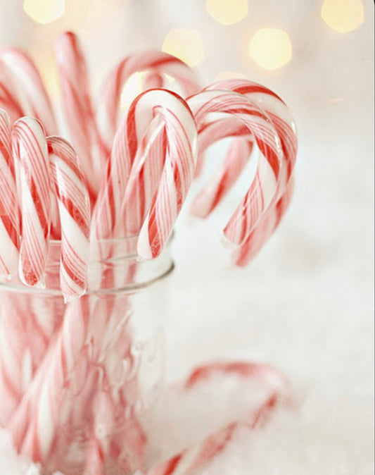 2 Wick North Pole Soy Wax Candle