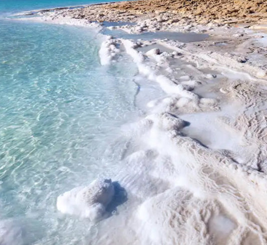 LARGE 40oz 4 Wick Sea Salt Soy Wax Candle