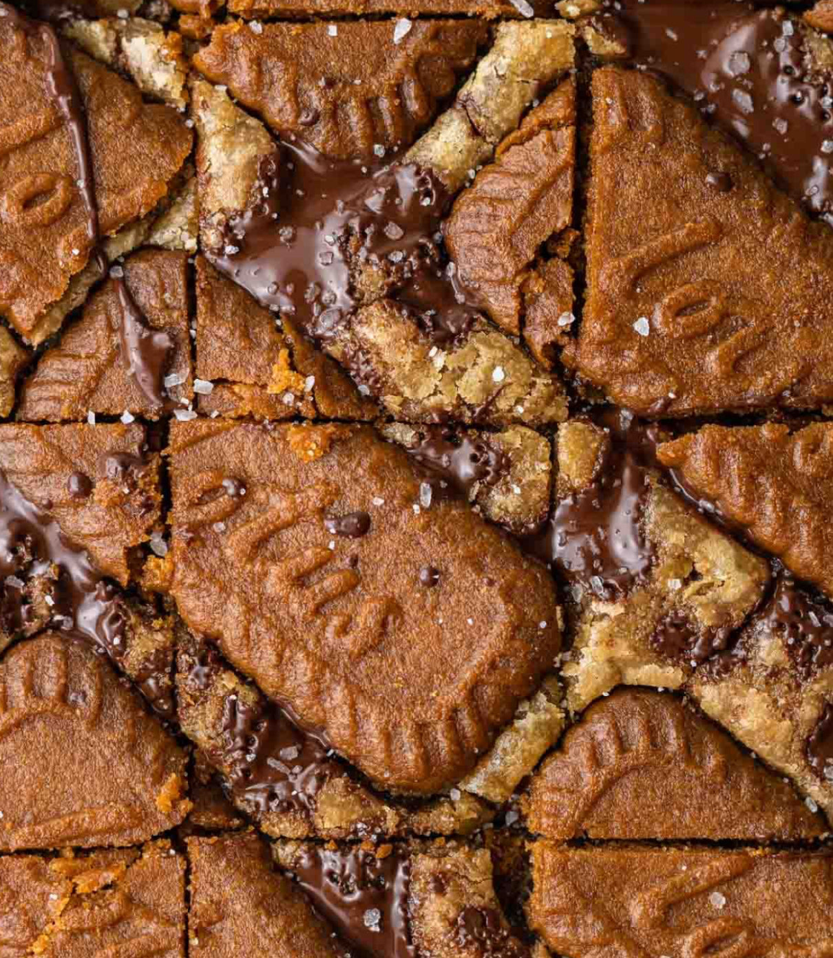 LARGE 40oz 4 Wick Cookie Butter Blondie Soy Wax Candle