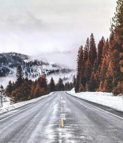 2 Wick Winter Woods Soy Wax Candle