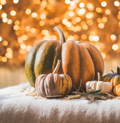 4 Wick Pumpkin Cashmere Soy Candle