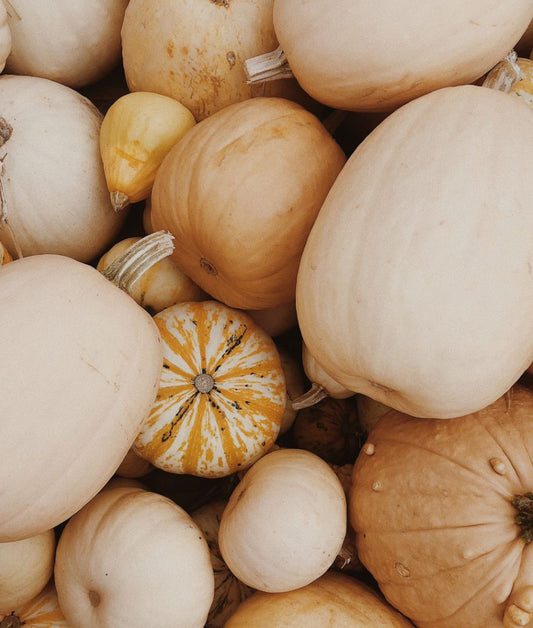 White Pumpkin Soy Wax Melt