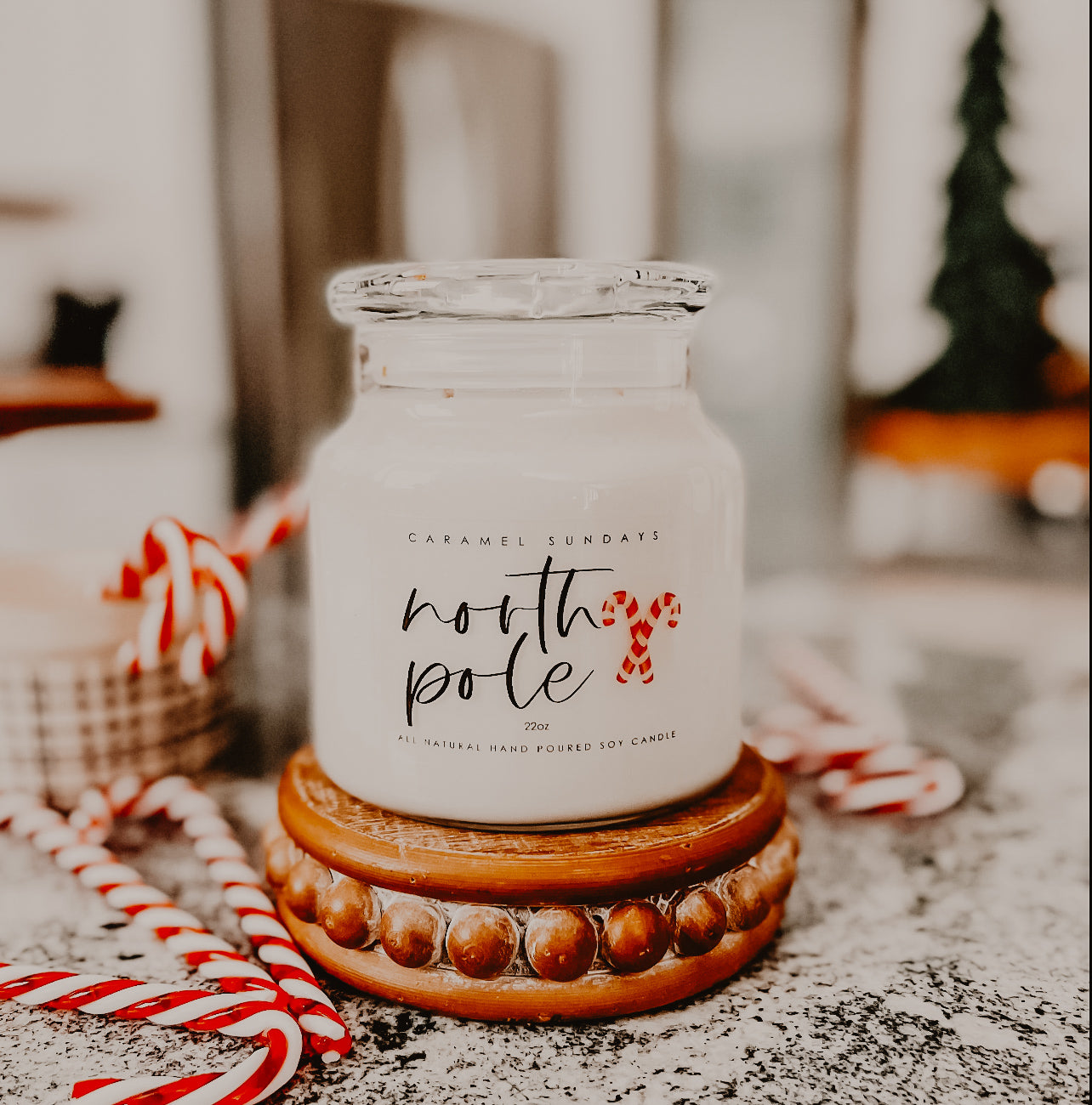 2 Wick North Pole Soy Wax Candle