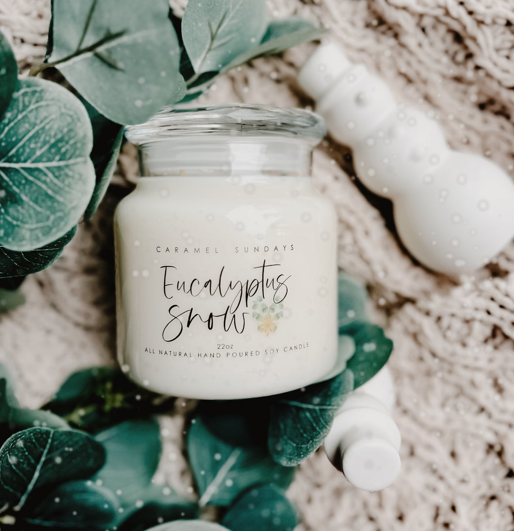 22oz 2 Wick Eucalyptus Snow Soy Wax Candle