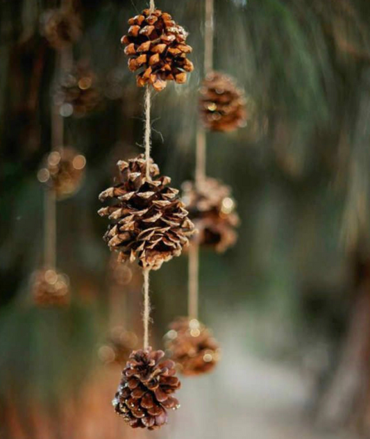 Toasted Pinecone Soy Wax Melt