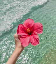 Load image into Gallery viewer, 22oz 2 Wick Hawaiian Hibiscus Soy Wax Candle
