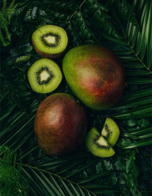 2 Wick Aloha Kiwi Soy Wax Candle